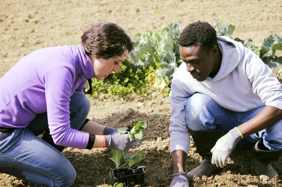 Ad Arezzo si coltiva un P Orto in citt Valfrutta Magazine