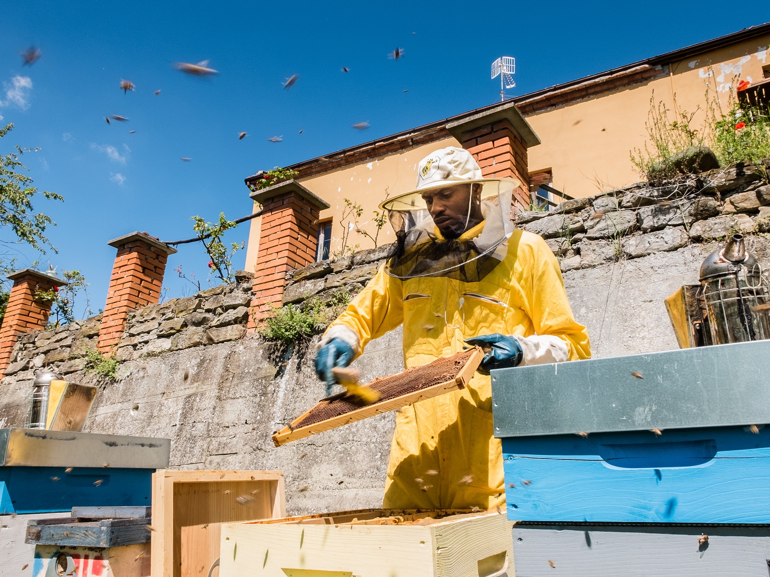 Bee My Job, integrazione e rispetto per la natura - Valfrutta Magazine