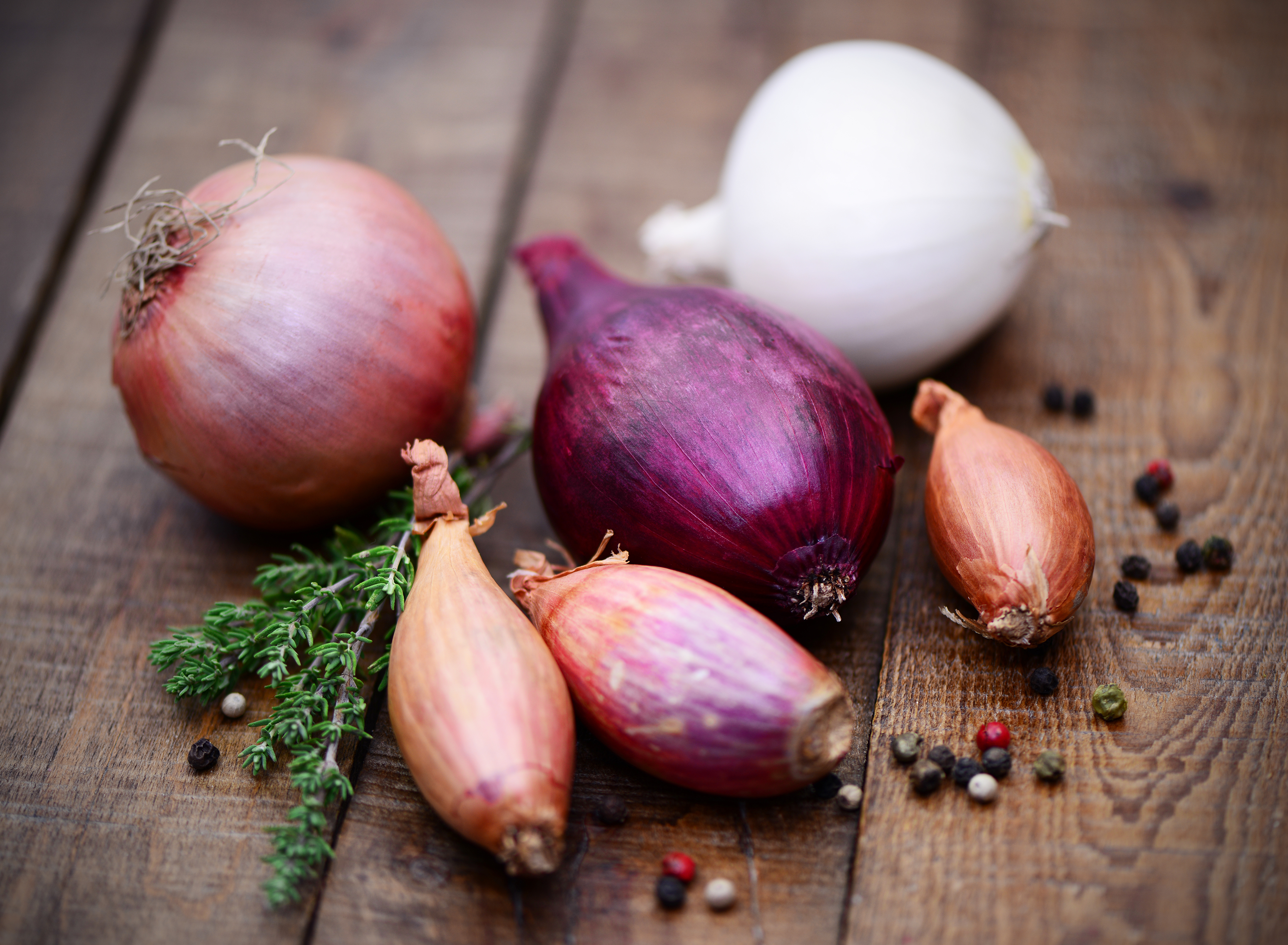 Cipolla, scalogno, porri e aglio, le differenze e gli usi